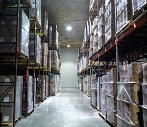 Cold Storage for Frozen food distribution